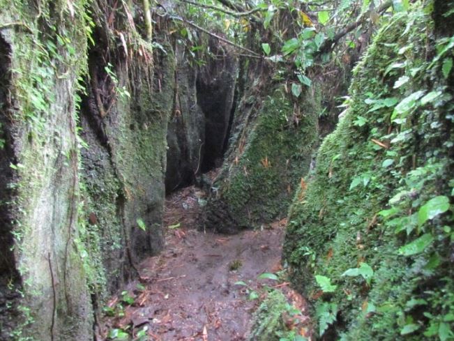 Laberinto del Chiguaza
